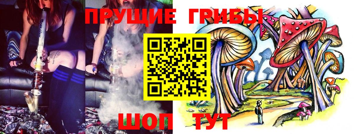 Псилоцибиновые грибы Cubensis  Вход с VPN  Кингисепп 